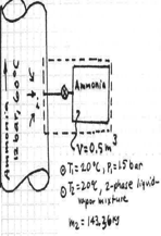 uploaded image