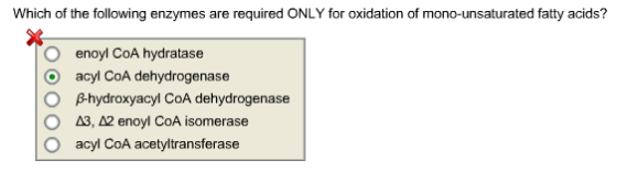 Which of the following enzymes are required ONLY for oxidation of mono-unsaturated fatty acids? O enoyl CoA hydratase O acyl CoA dehydrogenase O B-hydroxyacyl CoA dehydrogenase O A3, A2 enoyl CoA isomerase O acyl CoA acetyltransferase