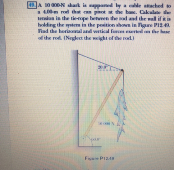 19. A 10 000-N shark is supported by a cable attached to a 4.00-m rod that can pivot at the base. Calculate the tension in th