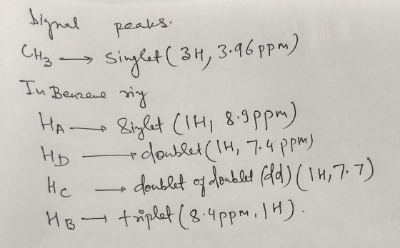 pnls 너