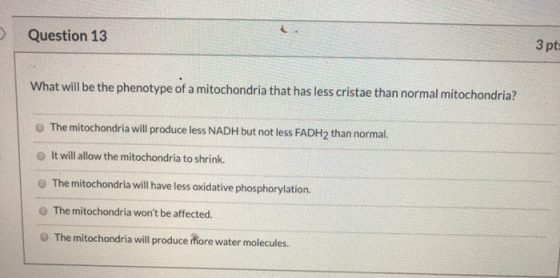 Question 13 Зpt What will be the phenotype of a mitochondria that has less cristae than normal mitochondria? The mitochondria