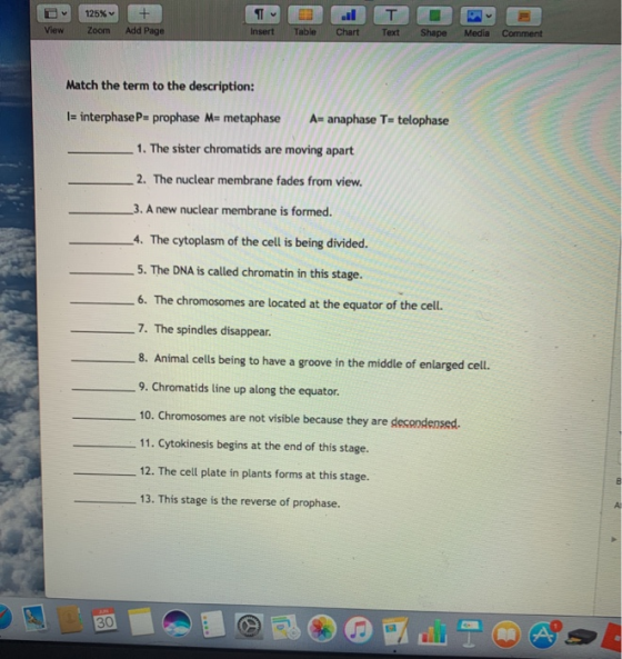 125% + T Text View Zoom Add Page Insert Table Chart Shape Media Comment Match the term to the description: I= interphase P= p