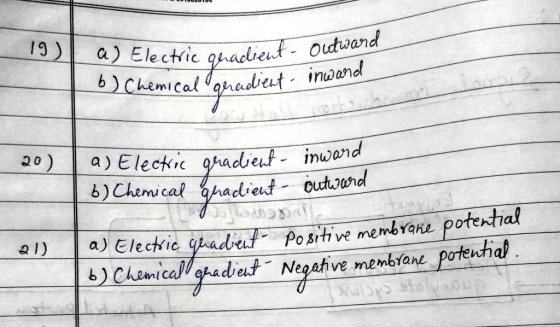 Outwand mi 2) a) Elec linl