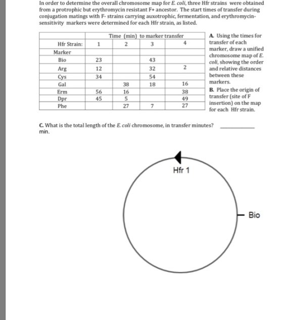 In order to determine the overall chromosome map for E coli, three Hfr strains were obtained from a protrophic but erythromyc