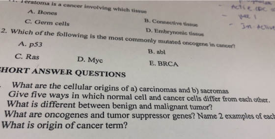eratoma is a cancer involving which tissue A. Bones B. Connective tissue C. Germ cells D. Embrynonic tissue 2. Which of the f