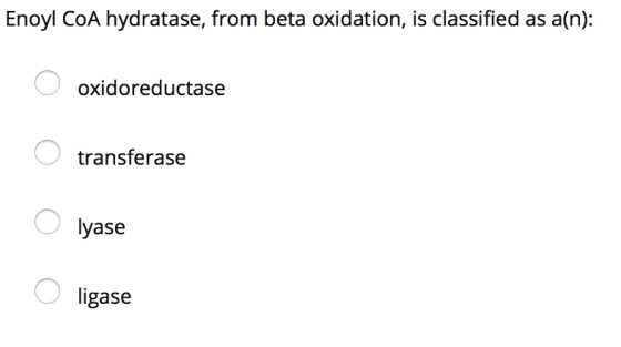 Enoyl CoA hydratase, from beta oxidation, is classified as a(n): oxidoreductase transferase lyase ligase