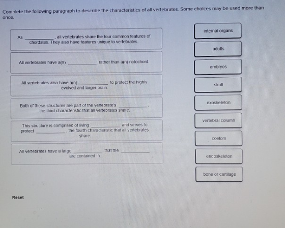 Complete the following paragraph to describe the characteristics of all vertebrates. Some choices may be used more than опсе.