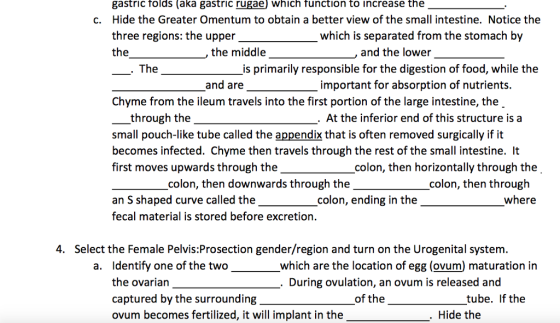 gastric folds (aka gastric rugae) which function to increase the Hide the Greater Omentum to obtain a better view of the small intestine. Notice the three regions: the upper c. which is separated from the stomach by the middle and the lower The is primarily responsible for the digestion of food, while the and are important for absorption of nutrients. Chyme from the ileum travels into the first portion of the large intestine, the through the small pouch-like tube called the appendix that is often removed surgically if it becomes infected. Chyme then travels through the rest of the small intestine. It first moves upwards through the At the inferior end of this structure is a colon, then horizontally through the colon, then downwards through the colon, then througlh colon, ending in the where an S shaped curve called the fecal material is stored before excretion. 4. Select the Female Pelvis:Prosection gender/region and turn on the Urogenital system Identify one of the two the ovarian captured by the surrounding ovum becomes fertilized, it will implant in the a. which are the location of egg (ovum) maturation in During ovulation, an ovum is released and of the tube. If the . Hide the