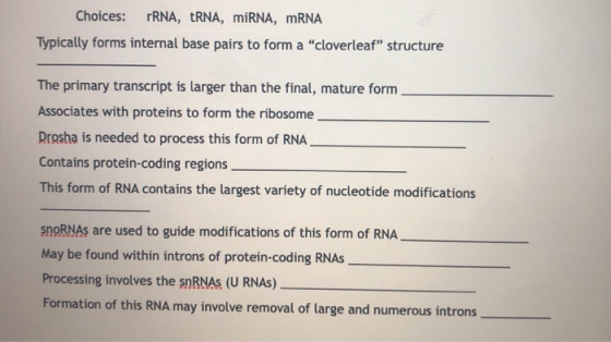 Choices: rRNA, TRNA, miRNA, mRNA Typically forms internal base pairs to form a cloverleaf structure The primary transcript