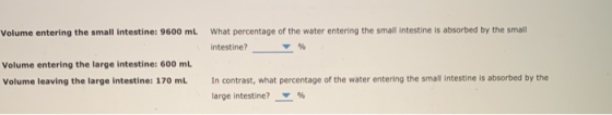 Volume entering the small intestine: 9600 ml What percentage of the water entering the small intestine is absorbed by the sma
