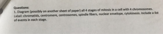 Questions: 1. Diagram (possibly on another sheet of paper) all 4 stages of mitosis in a cell with 4 chromosomes. Label: chrom