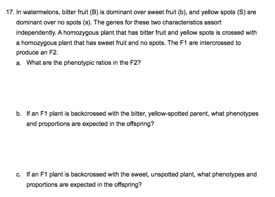 17. In watermelons, bitter fruit (B) is dominant over sweet fruit (b), and yellow spots (S) are dominant over no spots (s). T