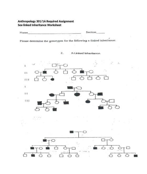 Anthropology 301/1A Required Assignment Sex-linked Inheritance Worksheet Name Section Please determine the genotypes for the