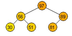 97 56 89 30 51 81