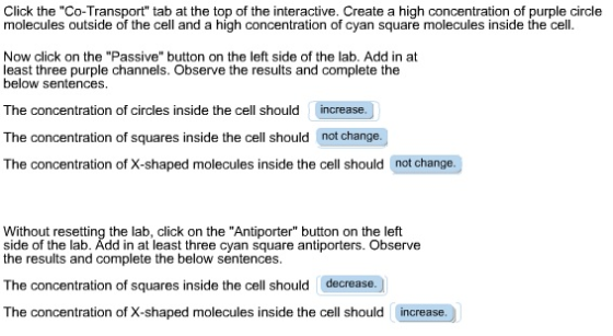 Click the Co-Transport tab at the top of the interactive. Create a high concentration of purple circle molecules outside of the cell and a high concentration of cyan square molecules inside the cell. Now click on the Passive button on the left side of the lab. Add in at least three purple channels. Observe the results and complete the below sentences. The concentration of circles inside the cell should increase. The concentration of squares inside the cell should not change. The concentration of X-shaped molecules inside the cell should not change Without resetting the lab, click on the Antiporter button on the left side of the lab. Add in at least three cyan square antiporters. Observe the results and complete the below sentences. The concentration of squares inside the cell should decrease. The concentration of X-shaped molecules inside the cell should increase