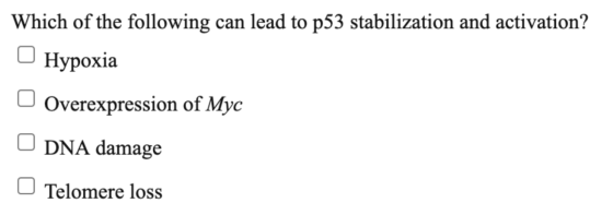 Which of the following can lead to p53 stabilization and activation? Hypoxia Overexpression of Myc DNA damage Telomere loss