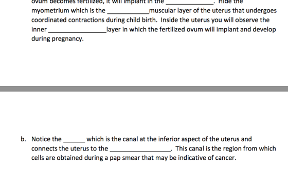 ovum becomes tertillzed, It Will Implant in th myometrium which is the coordinated contractions during child birth. Inside the uterus you will observe the inner during pregnancy. . Hide the - _muscular layer of the uterus that undergoes layer in which the fertilized ovum will implant and develop b. Notice the which is the canal at the inferior aspect of the uterus and connects the uterus to the cells are obtained during a pap smear that may be indicative of cancer. This canal is the region from which