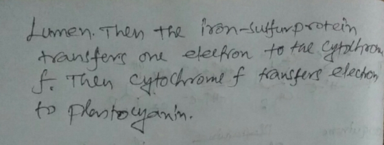 Limen, Then the ren-sufurpotein Hantfers f. Then Cyto chromt f fanfers to plantoyamh ane eleifon to the elecho