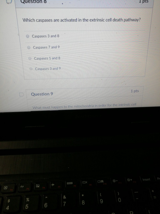 Question 8 1 pts Which caspases are activated in the extrinsic cell death pathway? Caspases 3 and 8 O Caspases 7 and 9 O Caspases 1 and 8 Caspases 3 and 9 1 pts : Question 9 What must happen to the mitochondria in order for the intrinsic cell ナ
