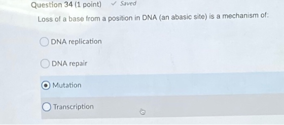 Question 34 (1 point) Saved Loss of a base from a position in DNA (an abasic site) is a mechanism of: ODNA replication ODNA r