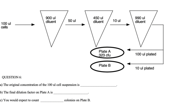 900 ul diluent 50 ul 450 ul diluent 10 ul 990 ul diluent 100 ul cells Plate A 323 cfu 100 ul plated Plate B 10 ul plated QUES