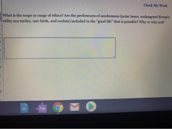 Check My Work What is the scope or range of ethics? Are the preferences of nonhumans (polar bears, endangered Kemps ridley s