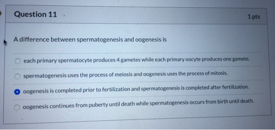 Question 11 1 pts A difference between spermatogenesis and oogenesis is each primary spermatocyte produces 4 gametes while ea