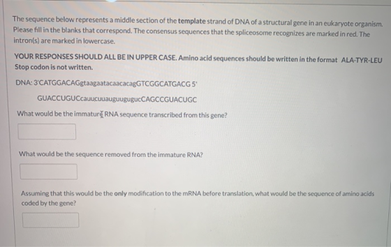 The sequence below represents a middle section of the template strand of DNA of a structural gene in an eukaryote organism. P
