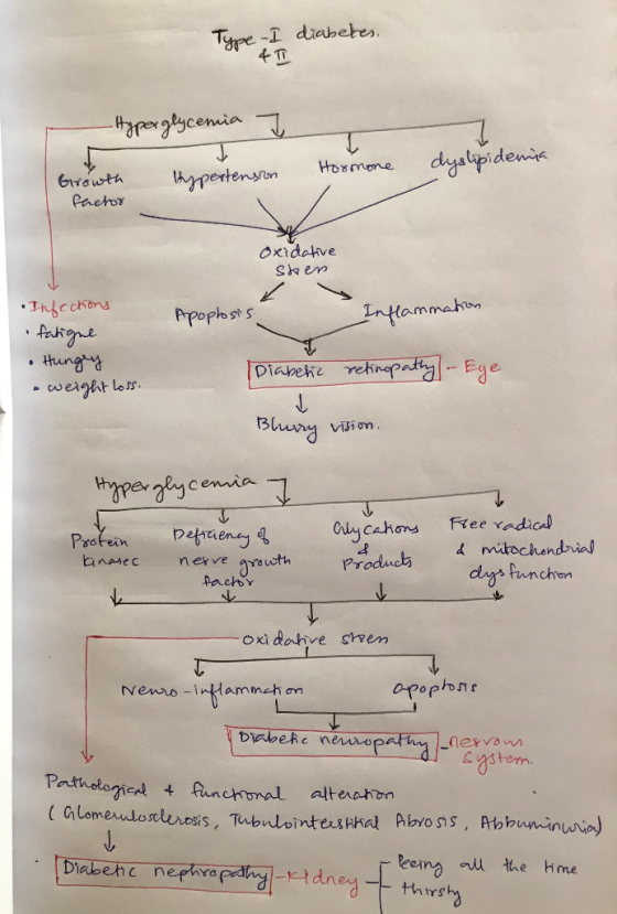 Type I diabetes, 30 4T Hyperglycemia T Hormone dyslipidemia Hypertension Growth factor oxidative shen Apophosis lammation Inf