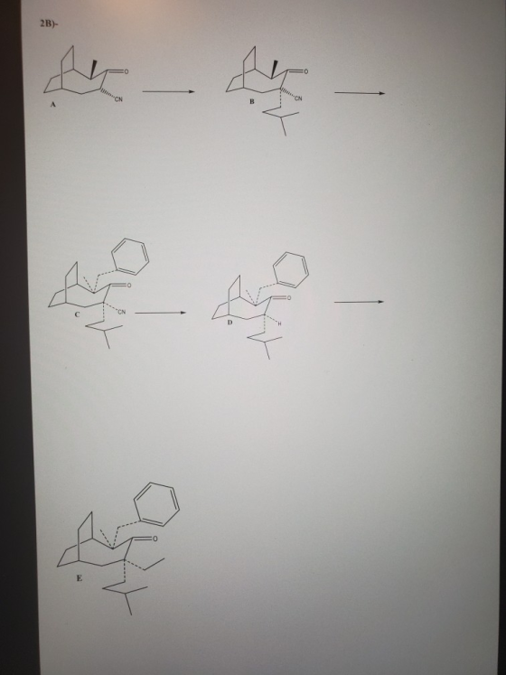 2B)-