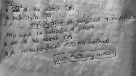 &A mitochondrial fof, ATP synthase. Solt & the above C) & palmitate (A) Explanations at requires & molecules of Atp and in mo