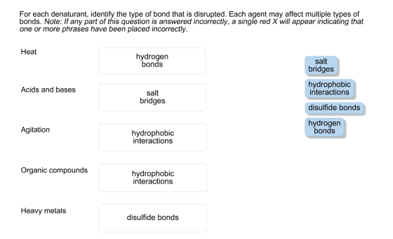Image for For each denaturant, identify the type of bond that is disrupted. Each agent may affect multiple types of bond