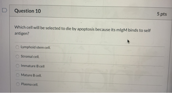 Question 10 5 pts Which cell will be selected to die by apoptosis because its migM binds to self antigen? Lymphoid stem cell.