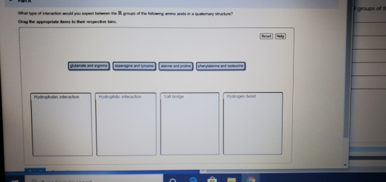 PA groups oft What type of interaction would you expect between the R groups of the following amino acids in a quaternary str