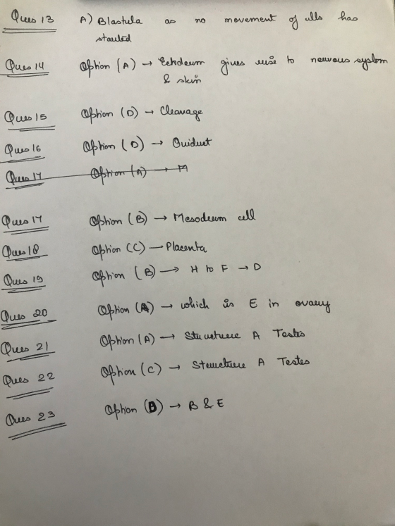 Ques 13 as no movement of alls has A) Blastula stauted Ques 14 Option (A) Echleum & skin gives nuse to neuvous system Ques 15