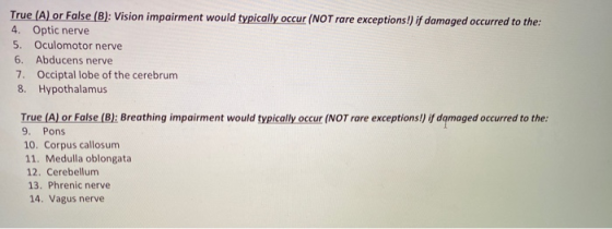 True (A) or False (B): Vision impairment would typically occur (NOT rare exceptions!) if damaged occurred to the: 4. Optic ne