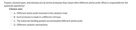 Trypsin, chymotrypsin, and elastase are all serine proteases that cleave after different amino acids. What is responsible for