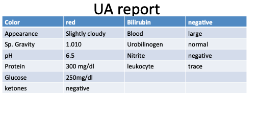 UA report red negative Color Appearance Sp. Gravity pH Protein Bilirubin Blood Urobilinogen Nitrite leukocyte large normal Sl