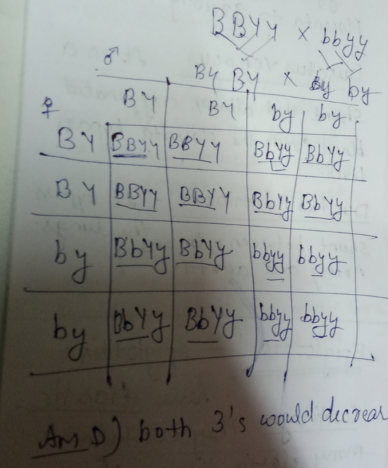 BL bu 881126 Bb OD