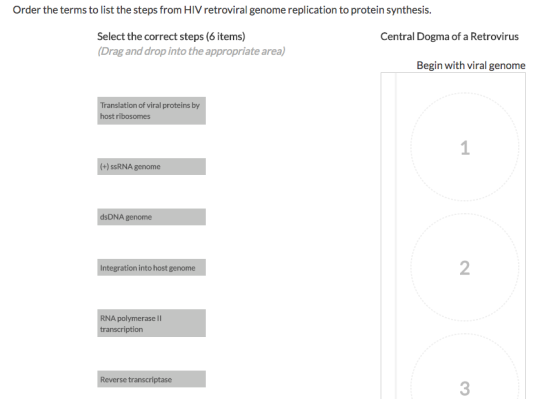Order the terms to list the steps from HIV retroviral genome replication to protein synthesis. Select the correct steps (6 items) Drag and drop into the appropriate area) Central Dogma of a Retrovirus Begin with viral genome Translation of viral proteins by host ribosomes 1 (+) ssRNA genome dsDNA genome egration into host genome 2 RNA polymerase II transcription Reverse transcriptase 3