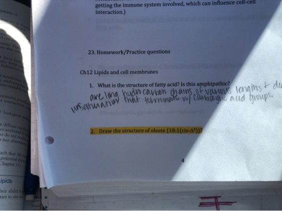 getting the immune system involved, which can influence cell-cell interaction.) A 10 23. Homework/Practice questions Ch12 Lip
