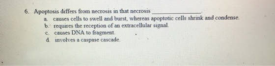 6. Apoptosis differs from necrosis in that necrosis a causes cells to swell and burst, whereas apoptotic cells shrink and con