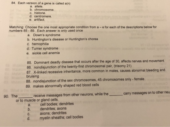 84. Each version of a gene is called a(n) a. allele. b. chromosome. c. histone. d. centromere. e. artifact. Matching: Choose the one most appropriate condtion from a - e for each of the descriptions below for numbers 85-89. Each answer is only used once a. Downs syndrome b. Huntingtons disease or Huntingtons chorea c. hemophilia d. Turner syndrome e. sickle cell anemia 85. Dominant deadly disease that occurs after the age of 30, affects nerves and movement 86. nondisjunction of the twenty-first chromosomal pair, (trisomy 21) 87. X-linked recessive inheritance, more common in males, causes abnormal bleeding and bruising 88. nondisjunction of the sex chromosomes, 45 chromosomes only -female 89. makes abnormally shaped red blood cells _-carry messages on to other neu The receive messages from other neurons, while the 90. or to muscle or gland cells. a. cell bodies; dendrites b. dendrites; axons c. axons; dendrites d. myelin sheaths, cell bodies