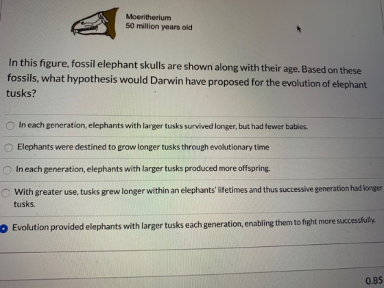 Moeritherium 50 million years old In this figure, fossil elephant skulls are shown along with their age. Based on these fossi