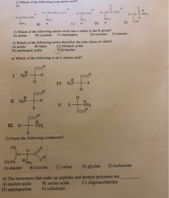 1) Which of the following is an amino acid? A) e R-CH-CH2-C00R -CH-CooR -CH-C-CO ile R-CH-C-NH3 R-C=CH-Coo NH3 NH3 NH3 ONH 3