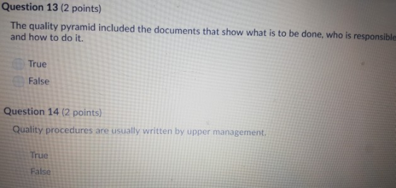 Question 13 (2 points) The quality pyramid included the documents that show what is to be done, who is responsible and how to