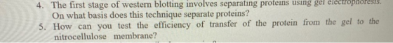 4. The first stage of western blotting involves separating proteins using ger electrophoresis, On what basis does this techni