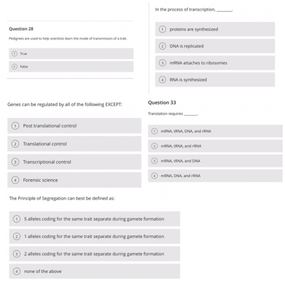 In the process of transcription, Question 28 proteins are synthesized Pedigrees are used to help scientists learn the mode of