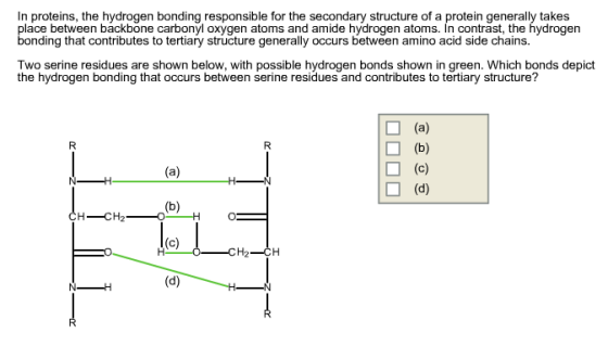 In proteins, the hydrogen bonding responsible for