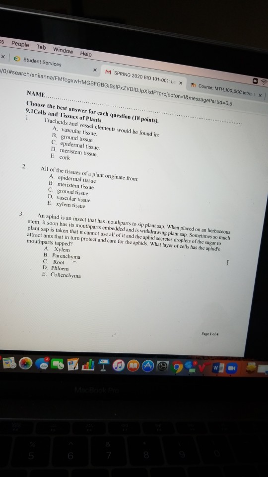 s People Tab Window x Help Student Services /O#search/sniianna/FMfcgxwHMGBFGBGIBSIPXZVDIDJpXkdF?projector 18 message Partid=0